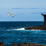 Sunny Vibes With Pool & Ocean Views Apartmán Costa Adeje (Tenerife)