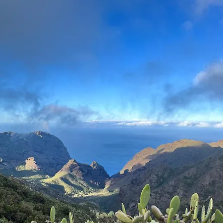 Sunny Vibes With Pool & Ocean Views Apartamento *