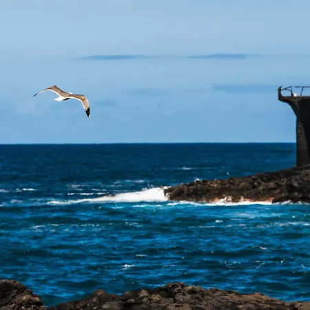 Sunny Vibes With Pool & Ocean Views Apartamento Costa Adeje (Tenerife)