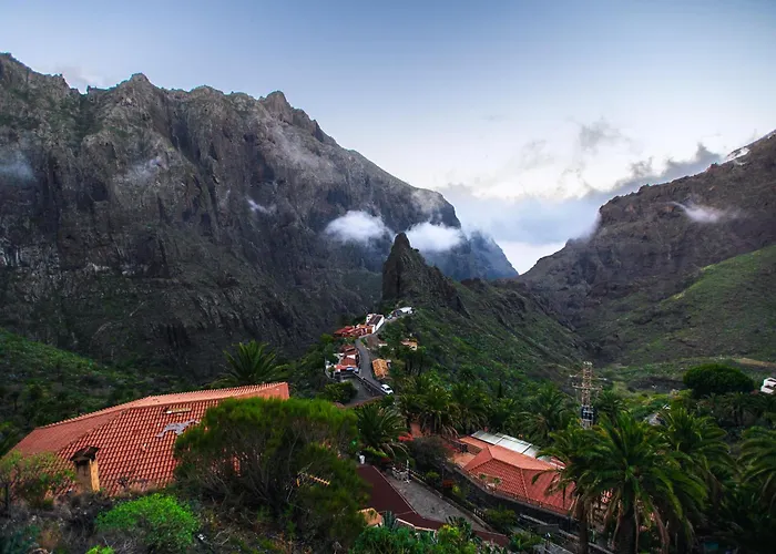 Sunny Vibes With Pool & Ocean Views Lägenhet *