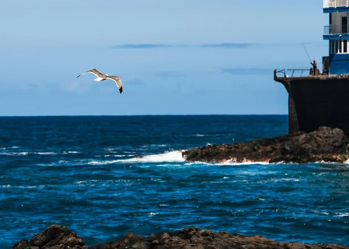 Sunny Vibes With Pool & Ocean Views 아파트 아데제