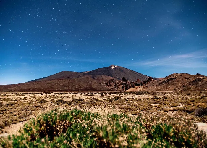아파트 Sunny Vibes With Pool & Ocean Views 아데제